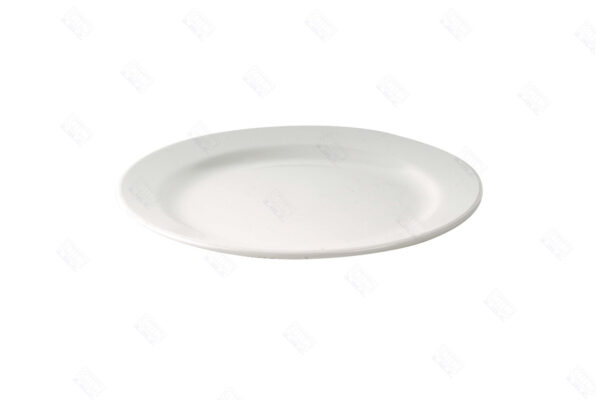 PLATO DE POSTRE (170X17MM) EN POLICARBONATO SIN BPA BLANCO